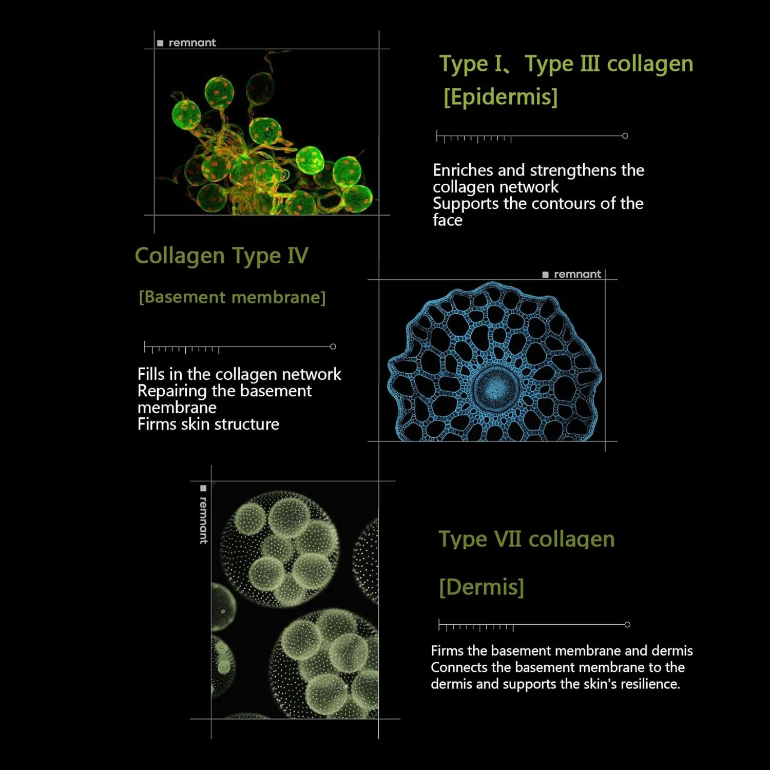 Colllagen PDRN Elasticity Serum 300 Spicule Microneedling Serum Salmon PDRN 30,000ppm Collagen Peptide Hydrating Moisturizing Firming Fine Lines Korean Skincare(30ml | 1.01 fl.oz.) - Image 4