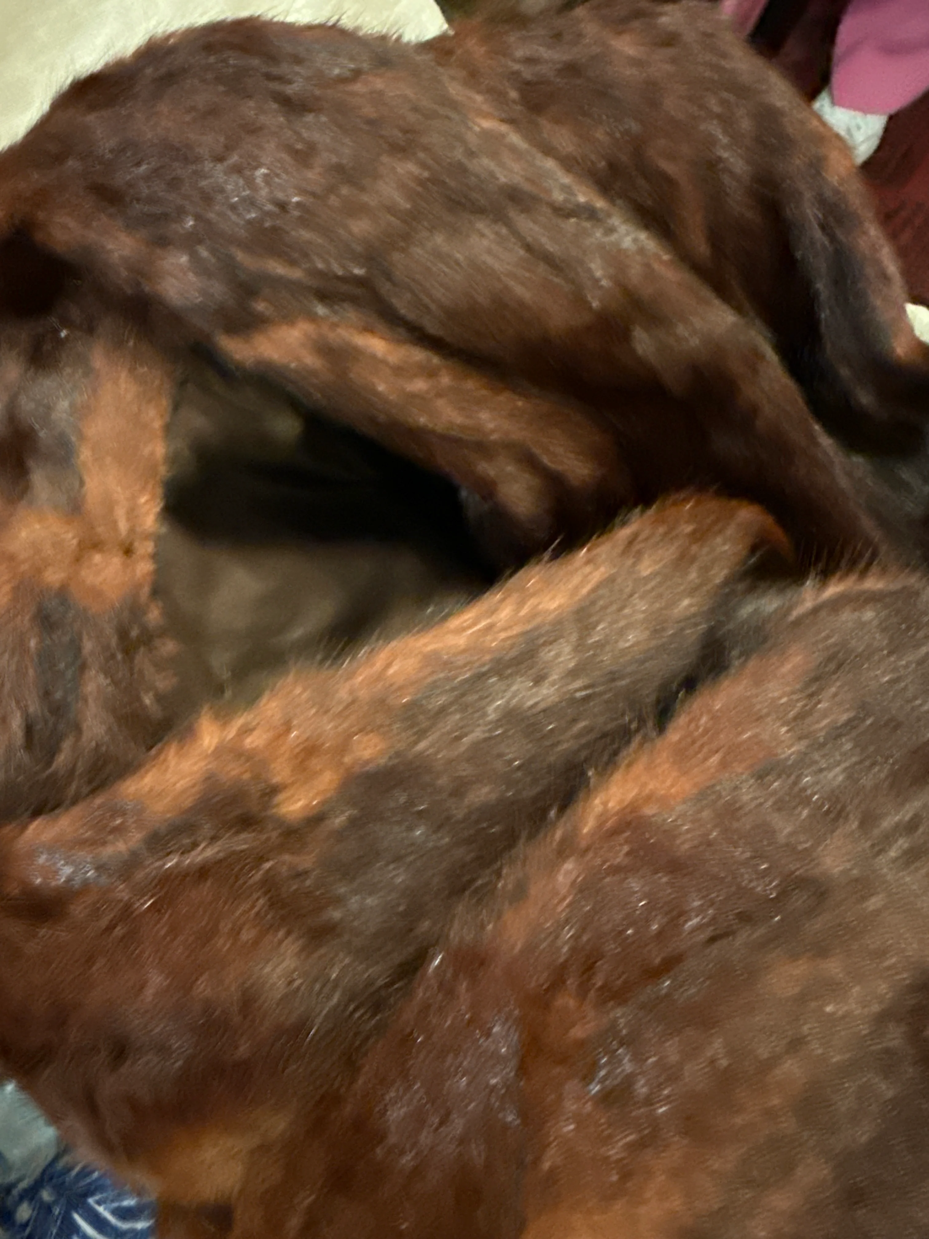 Fur
