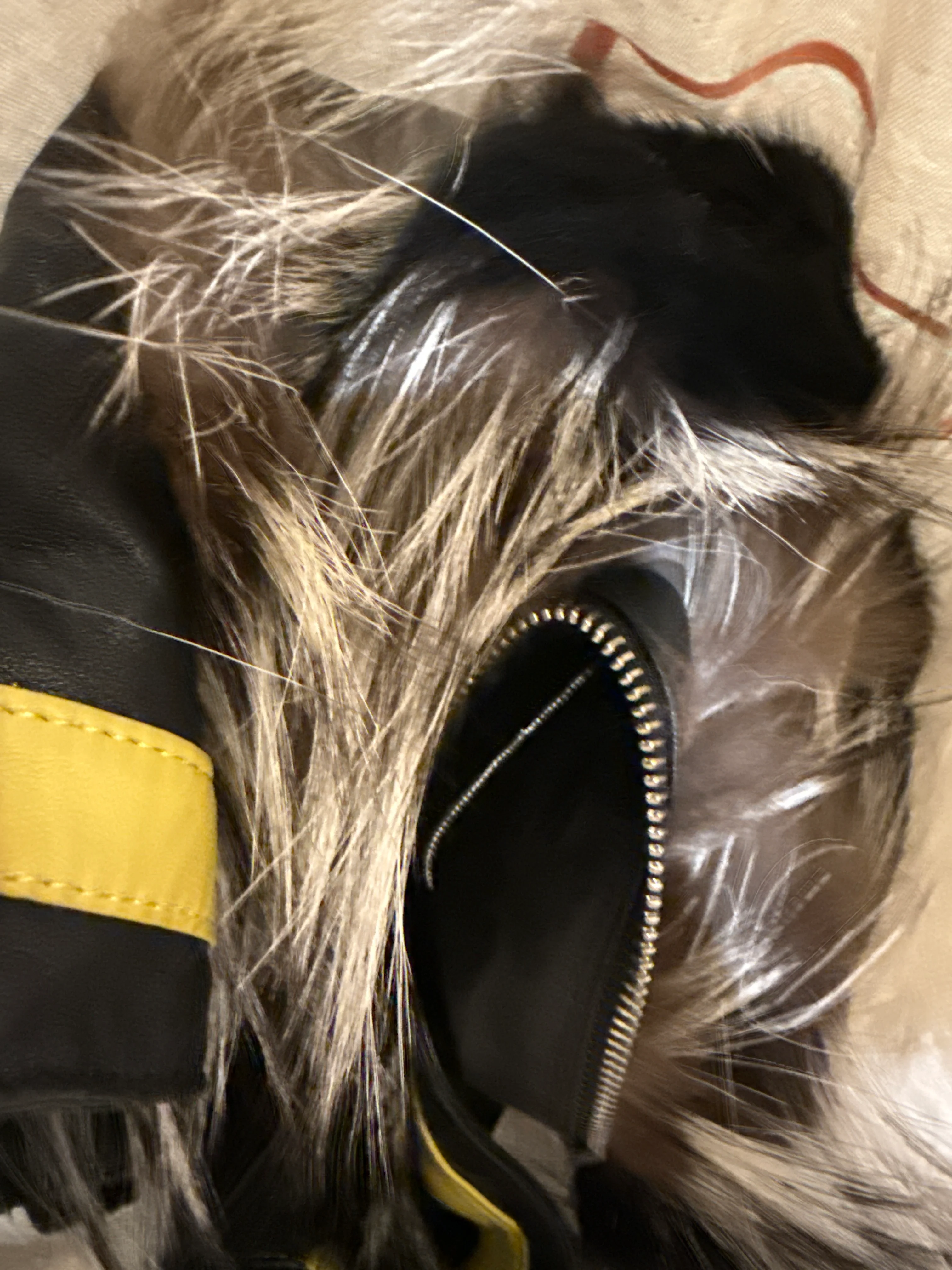 Fur - D